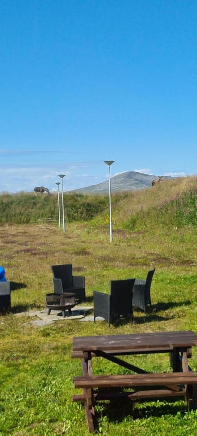 Solheim Guesthouse Dverberg Dış mekan fotoğraf